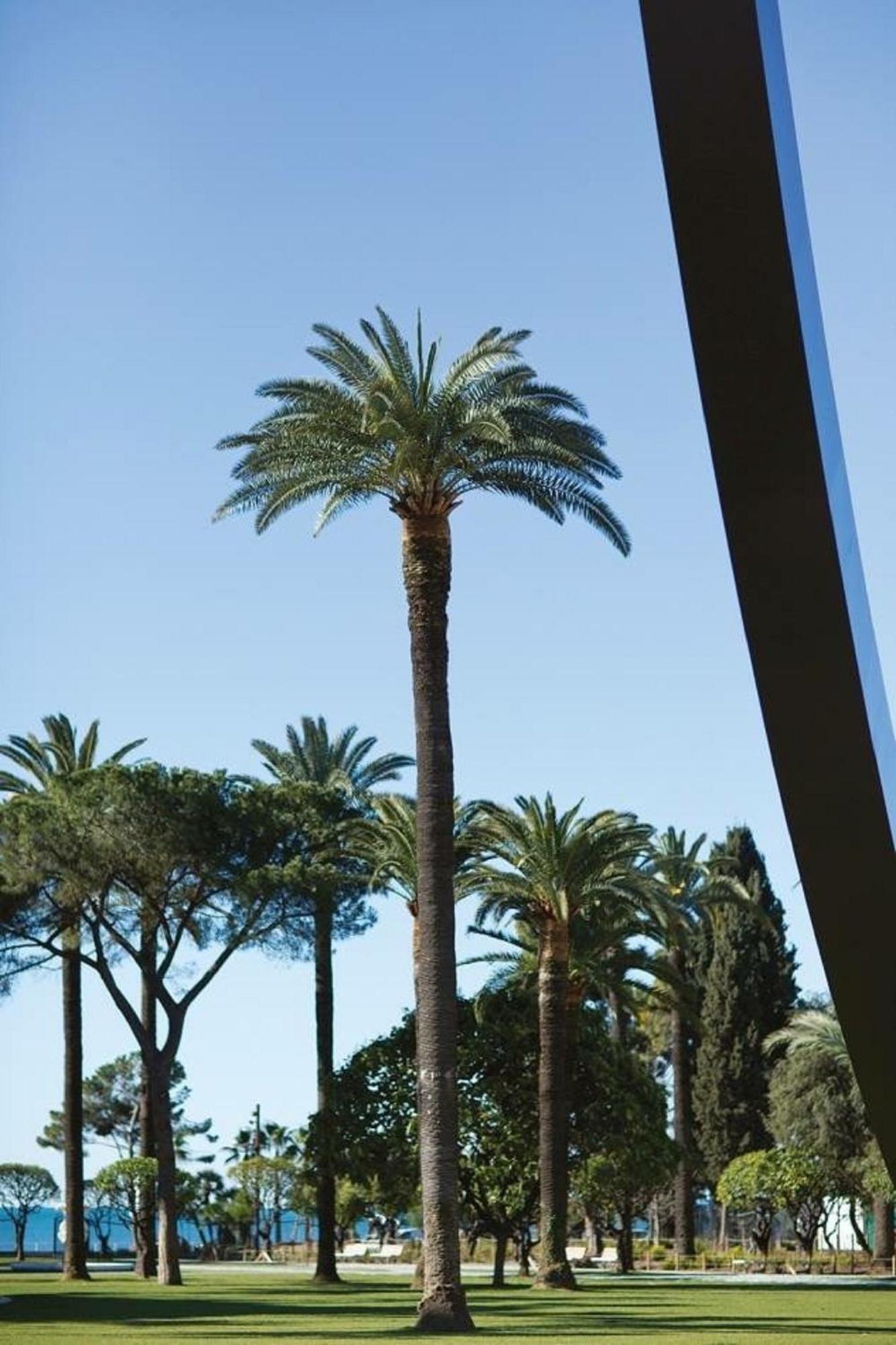 Apartment Sublime, Modern, Balconies, A/c, Refurbished Nizza